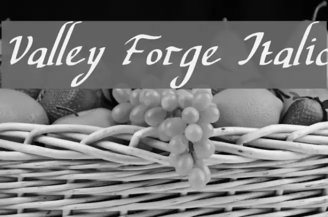 Valley Forge Italic Font examples