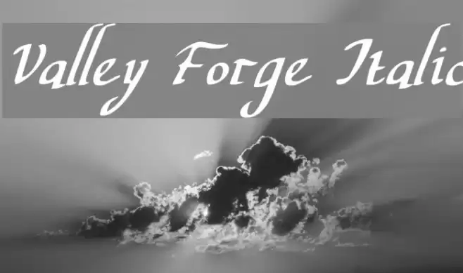 Valley Forge Italic Font examples