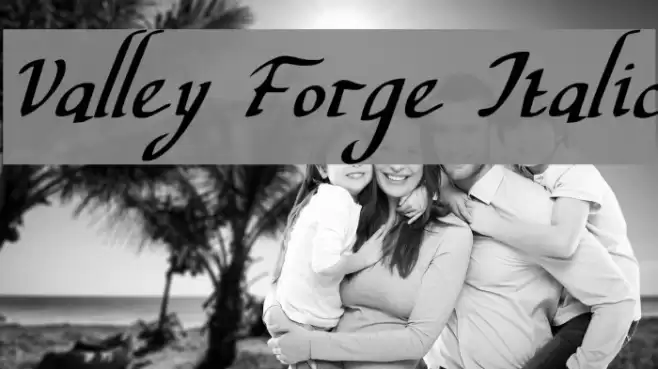 Valley Forge Italic Font examples