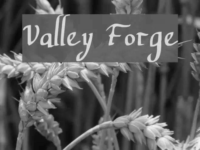 Valley Forge Font examples