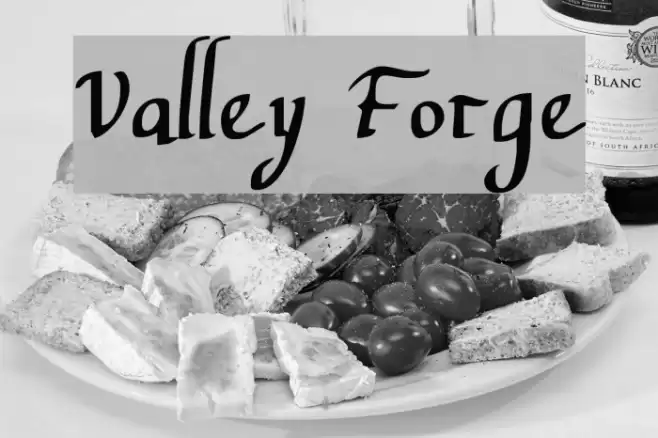 Valley Forge Font examples