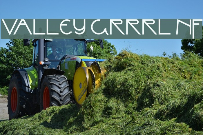 Valley Grrrl NF Font examples