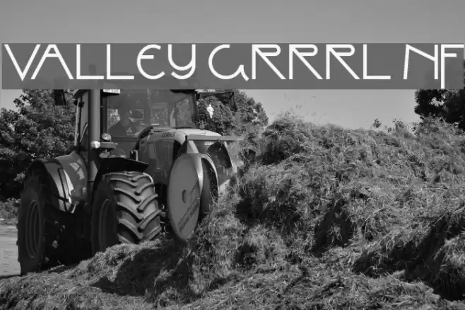 Valley Grrrl NF Fuentes examples