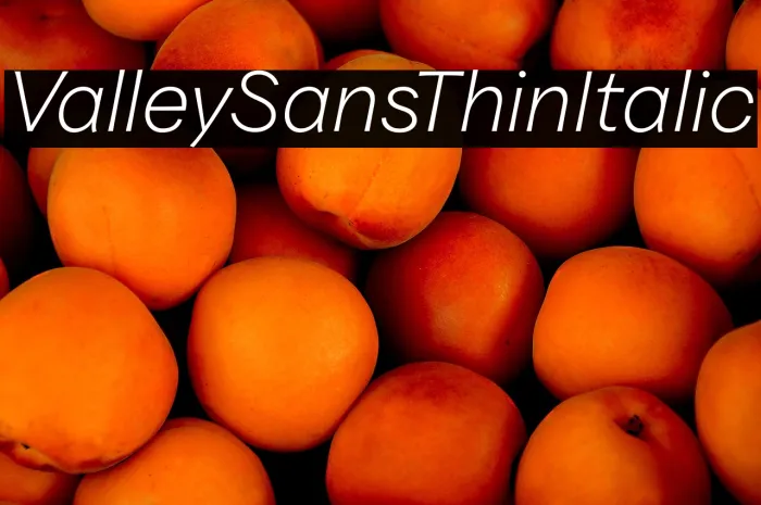 Valley Sans Thin Italic Example 1