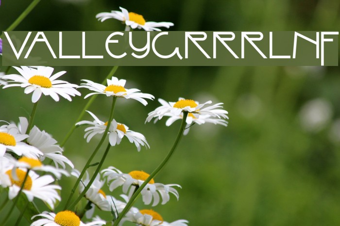 ValleyGrrrlNF Polices examples