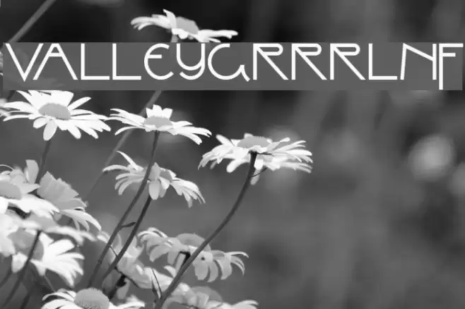 ValleyGrrrlNF フォント examples