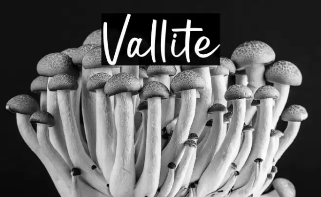 Vallite Schriftart examples