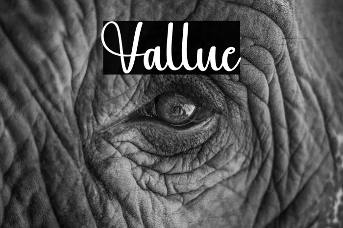 Vallue Example 2