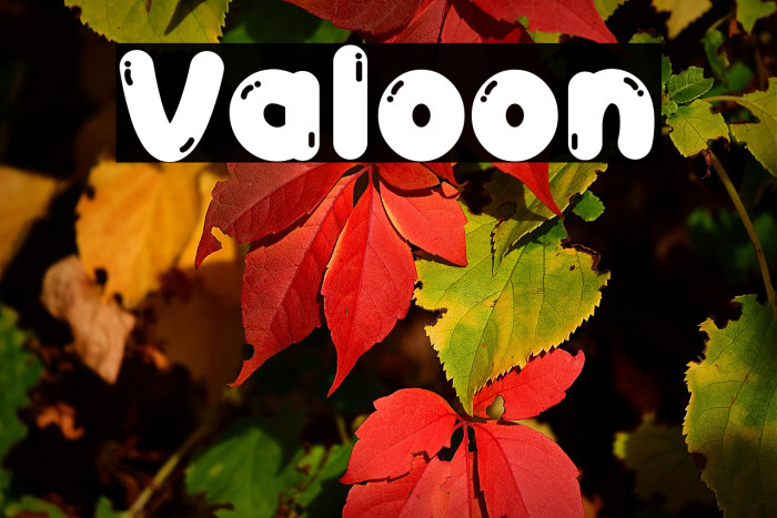 Valoon Example 2
