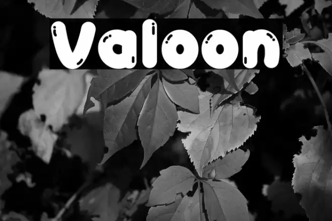 Valoon Font examples