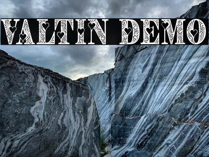 Valtin Demo Example 1