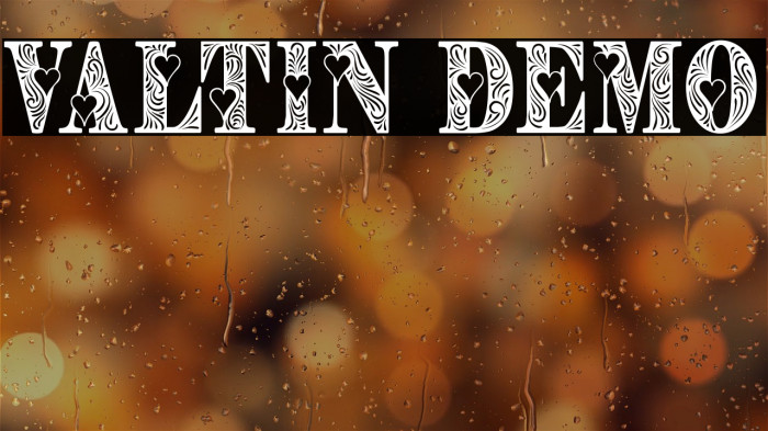 Valtin Demo Example 2