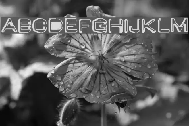 Valu Old Caps Font examples