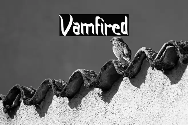 Vamfired Font examples