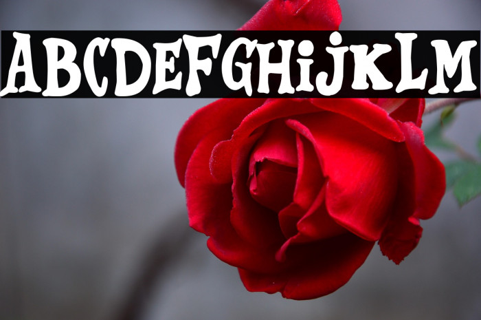 Vamos por la parejita Example 3