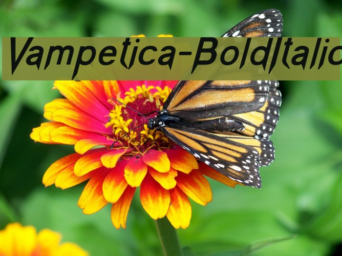 Vampetica-BoldItalic Example 3