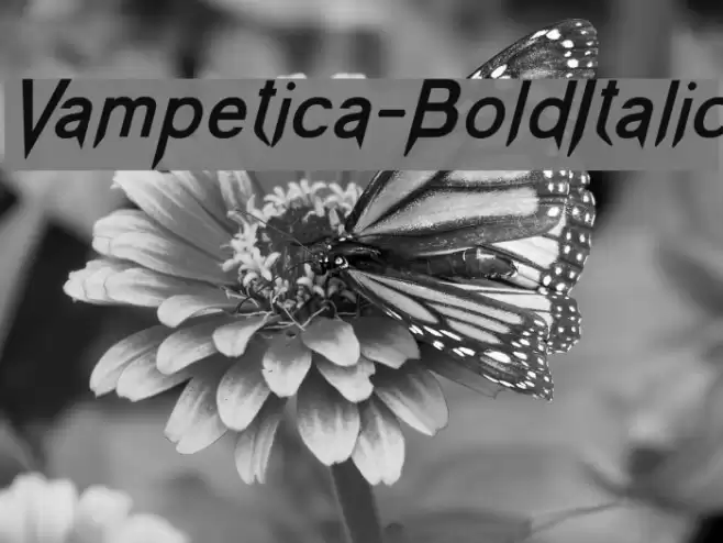 Vampetica-BoldItalic Font examples