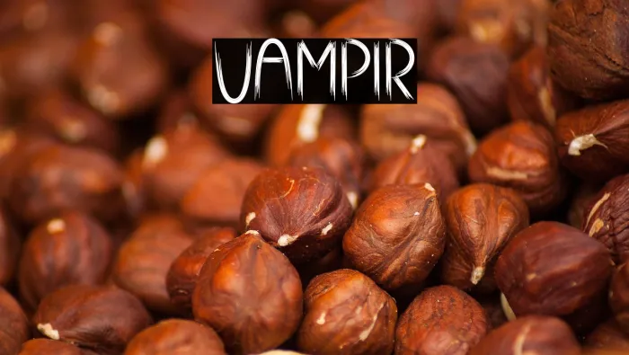 Vampir Example 1