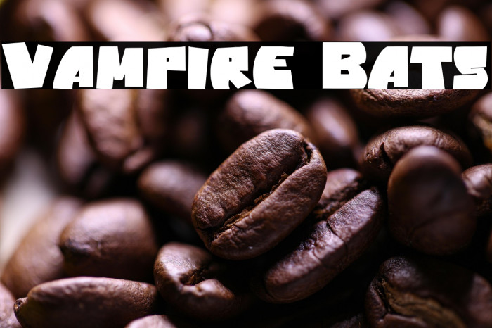 Vampire Bats Example 1