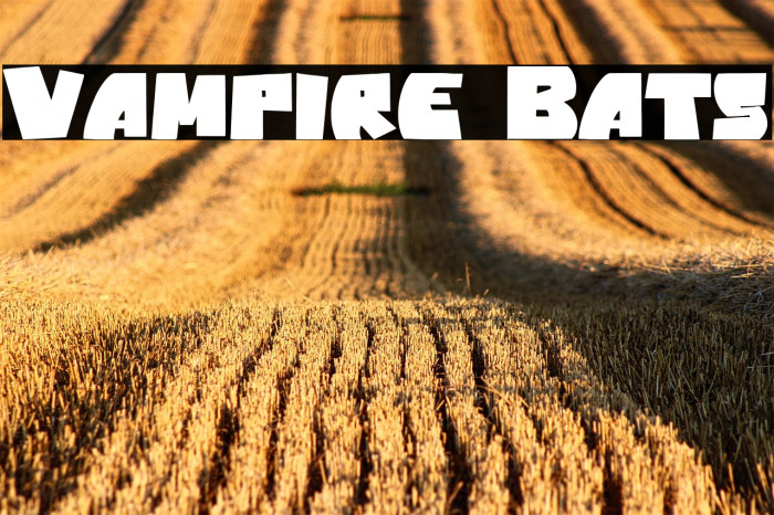 Vampire Bats Example 2