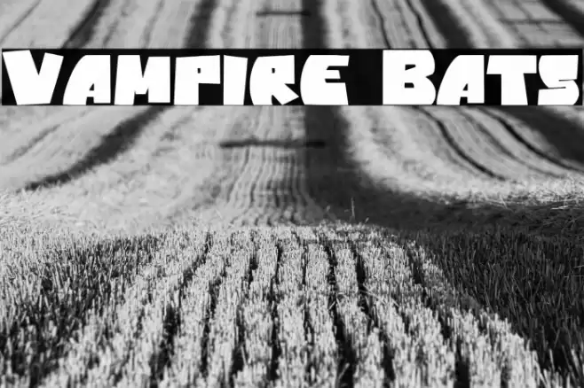 Vampire Bats Fonte examples