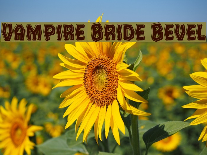 Vampire Bride Bevel Font examples