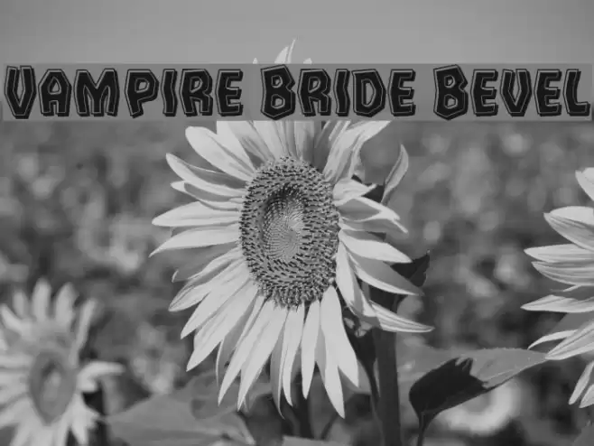 Vampire Bride Bevel Font examples