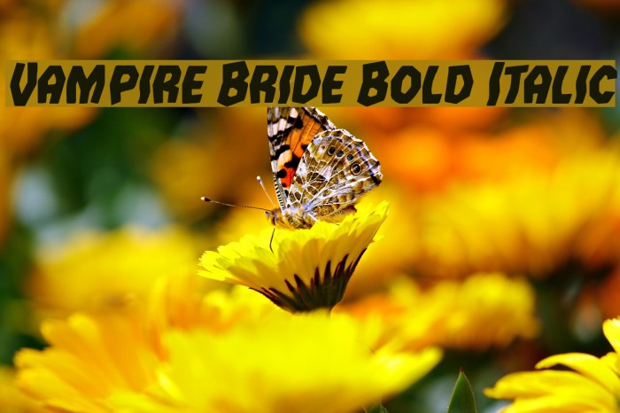 Vampire Bride Bold Italic Font examples