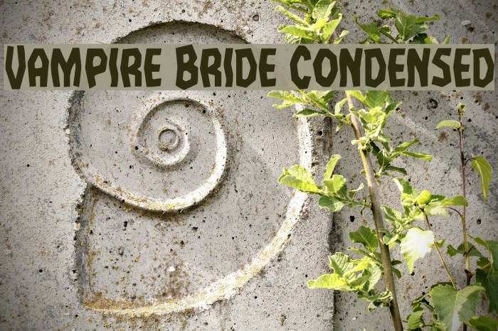 Vampire Bride Condensed Font examples