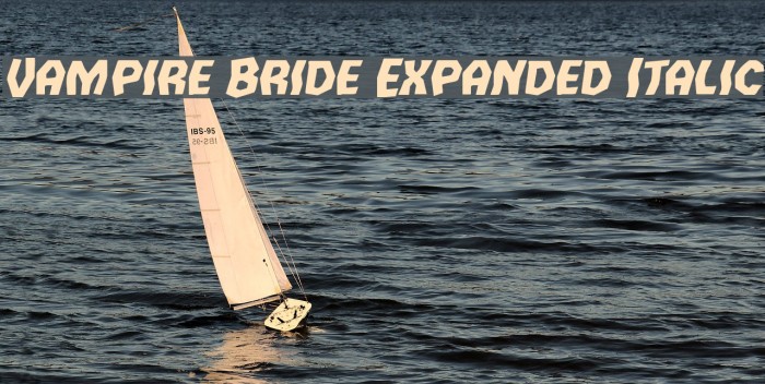 Vampire Bride Expanded Italic Font examples