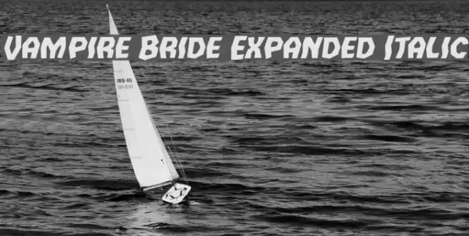 Vampire Bride Expanded Italic Font examples