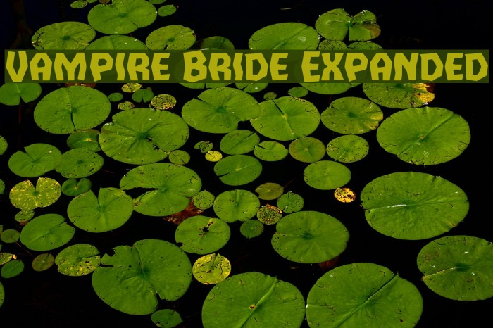 Vampire Bride Expanded Example 1