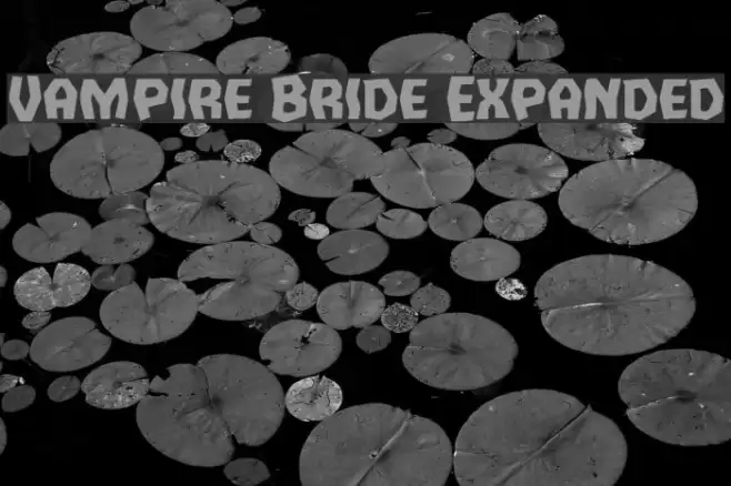 Vampire Bride Expanded Font examples