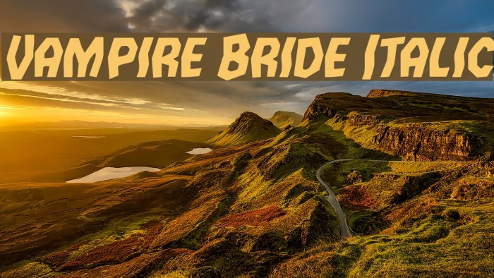 Vampire Bride Italic Font examples