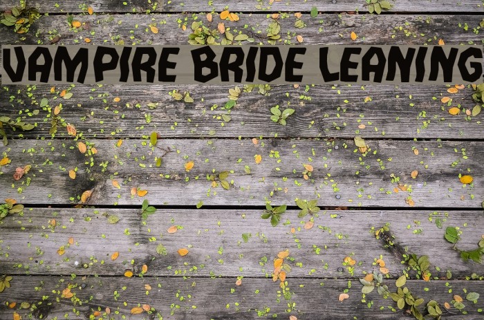 Vampire Bride Leaning Font examples