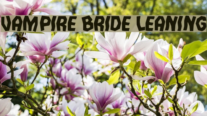 Vampire Bride Leaning Font examples