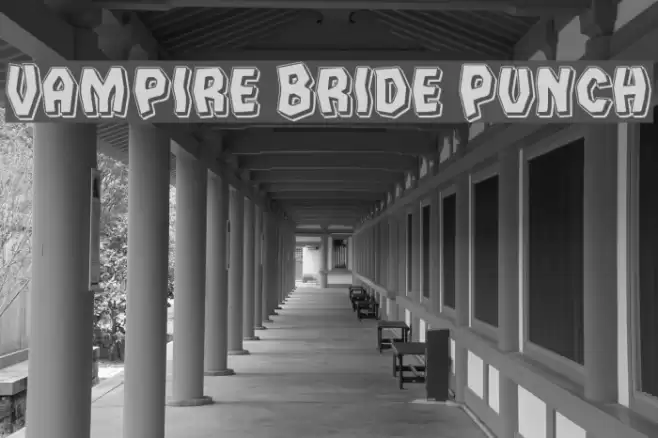 Vampire Bride Punch Font examples