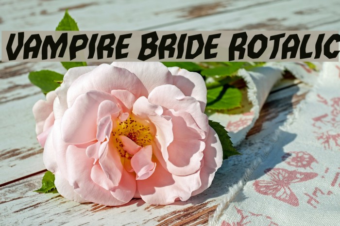 Vampire Bride Rotalic Font examples
