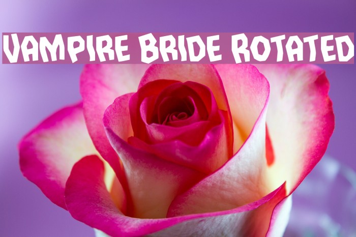 Vampire Bride Rotated Font examples