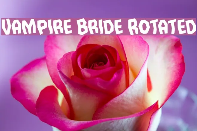 Vampire Bride Rotated Example 2