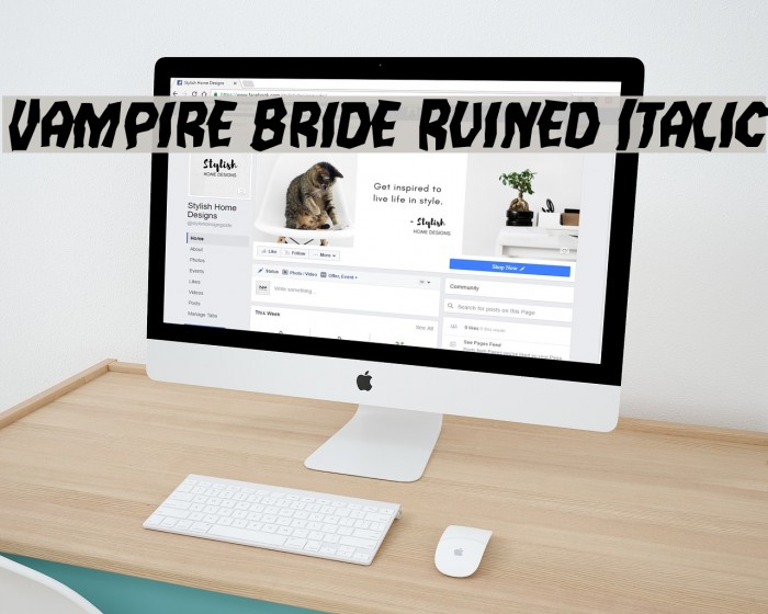 Vampire Bride Ruined Italic Font examples