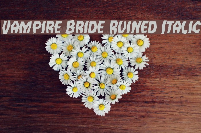 Vampire Bride Ruined Italic Font examples