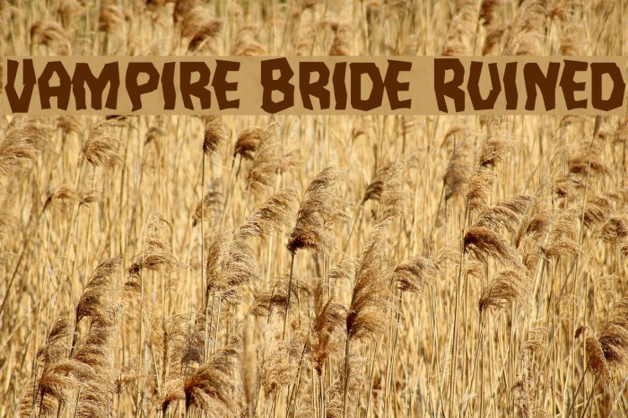 Vampire Bride Ruined Font examples