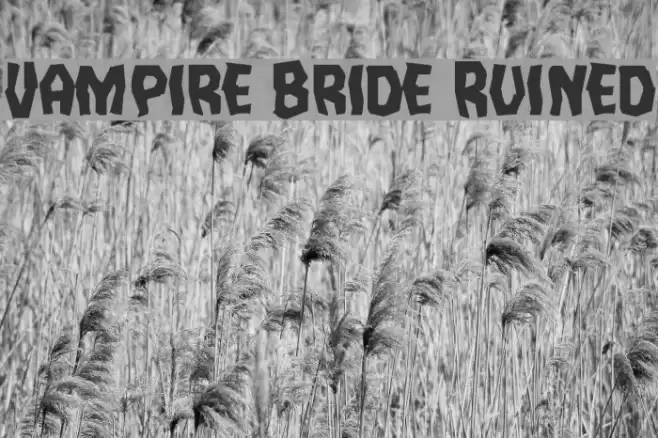 Vampire Bride Ruined Font examples