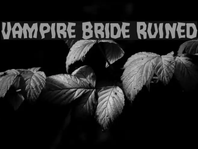 Vampire Bride Ruined Font examples