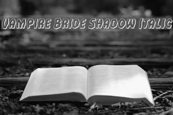 Vampire Bride Shadow Italic Font examples