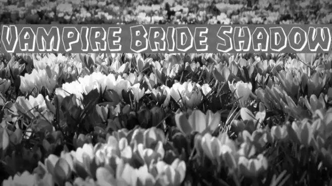 Vampire Bride Shadow Font examples