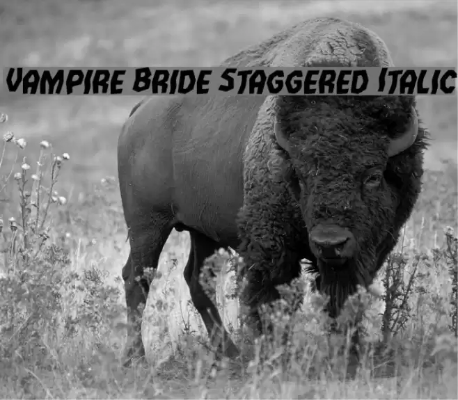 Vampire Bride Staggered Italic Font examples