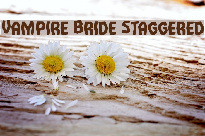 Vampire Bride Staggered Example 1