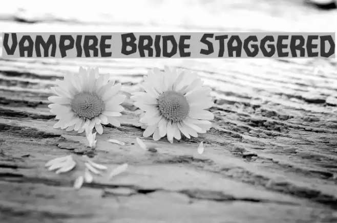 Vampire Bride Staggered Font examples